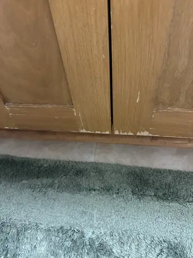 Cabinet stripping & restaining — before